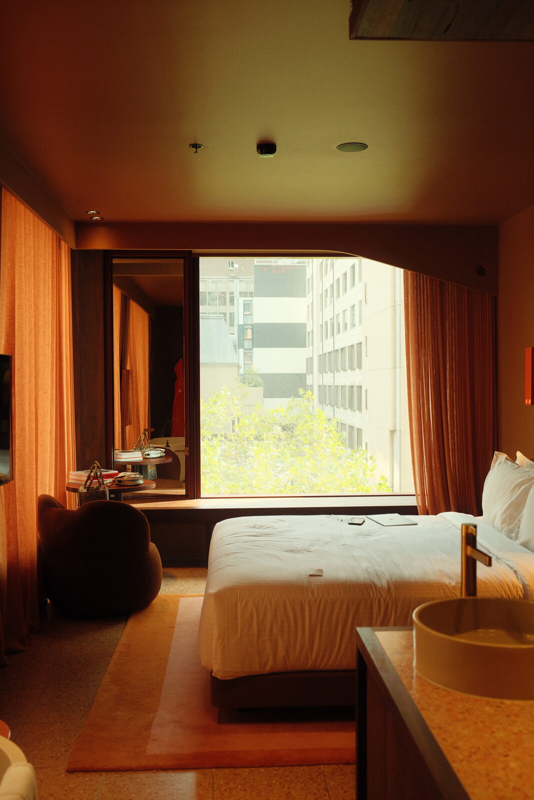 Photograph 5