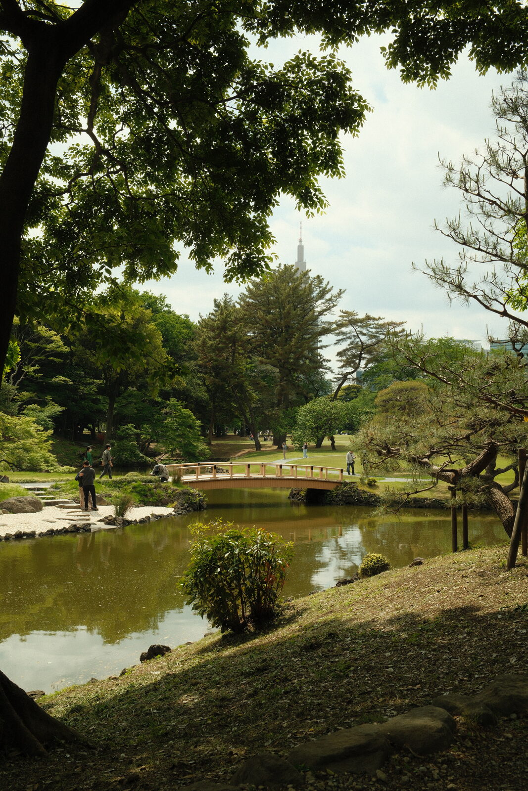 Photograph 8