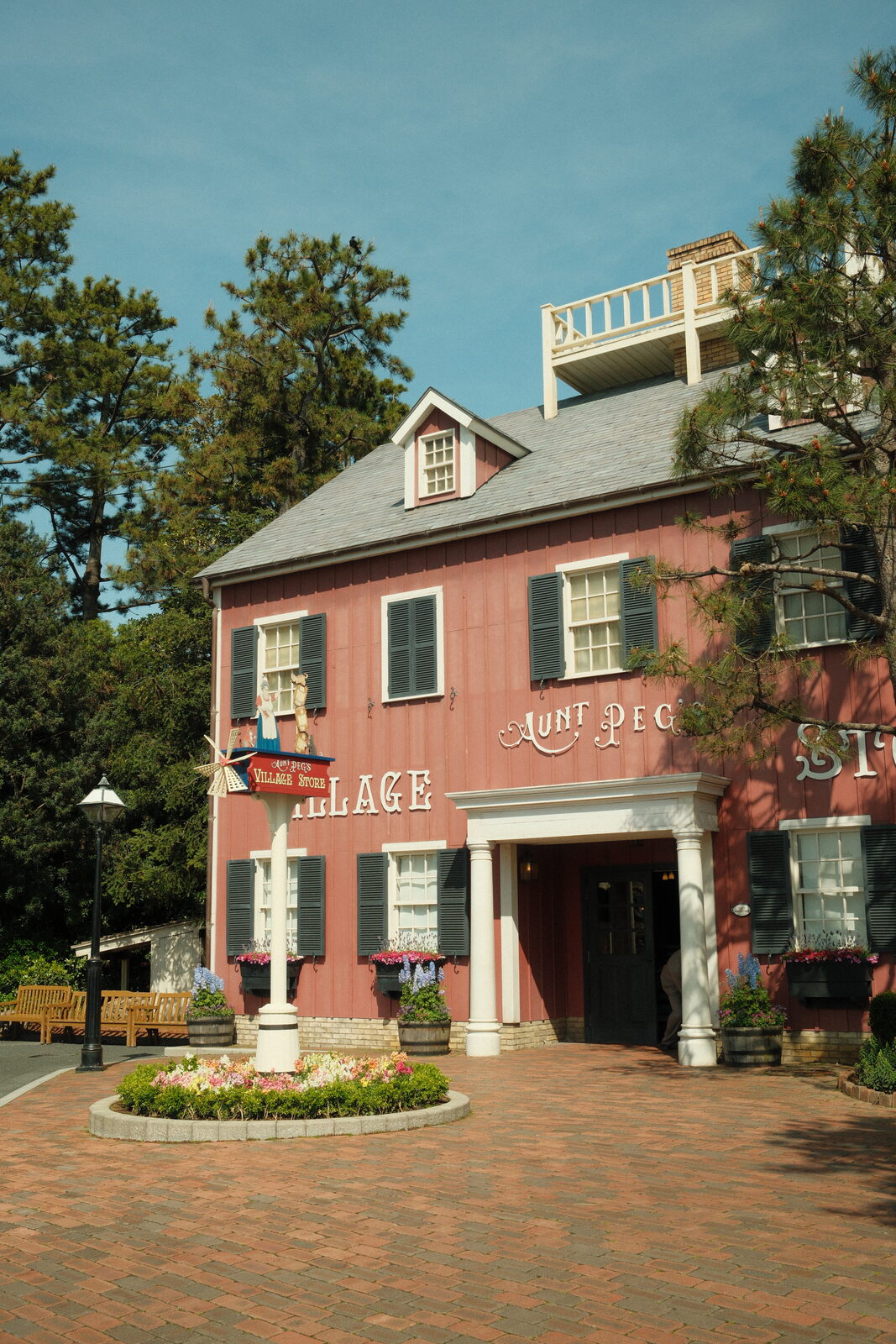 Photograph 11